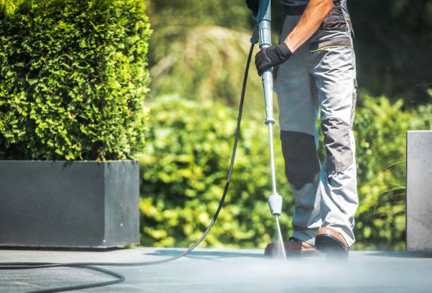 Best Factory Floor Cleaning  in Lopezville, TX
