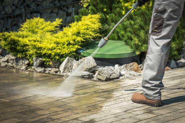 Best Restaurant Pressure Washing  in Lopezville, TX